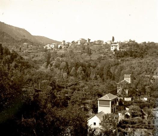 Serino (taglio)