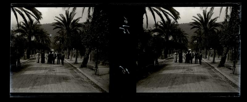 Nervi. Viale delle palme (originale)