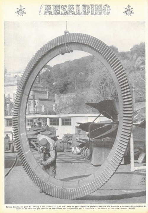 p. 16 (quarta di copertina) -  corona dentata, del peso di 1700 kg. e del diametro di 3600 mm., fusa in ghisa sferoidale perlitica ferritica alla Fonderia e destinata allo scioglitoio di argilla di un impianto per cemento in costruzione alla Carpenteria per il Venezuela. E' al lavoro lo sbavatore Amedeo Marchi