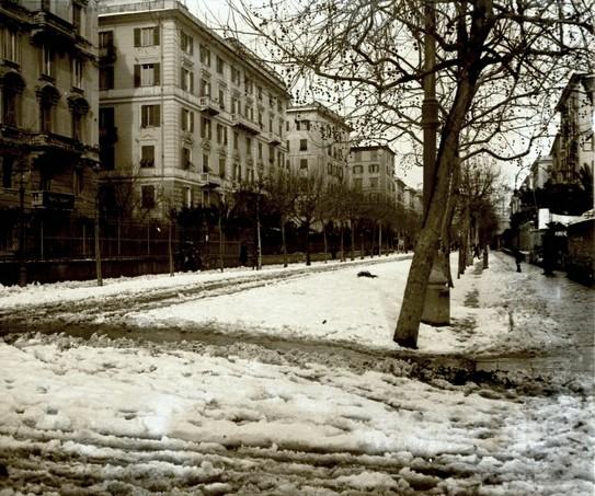 Via Casaregis. Nevicata (taglio)