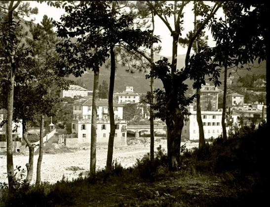 Pineta di Serino. Veduta dalla Doria (taglio)