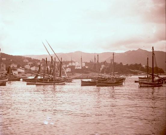 Santa Margherita. Porto (taglio)
