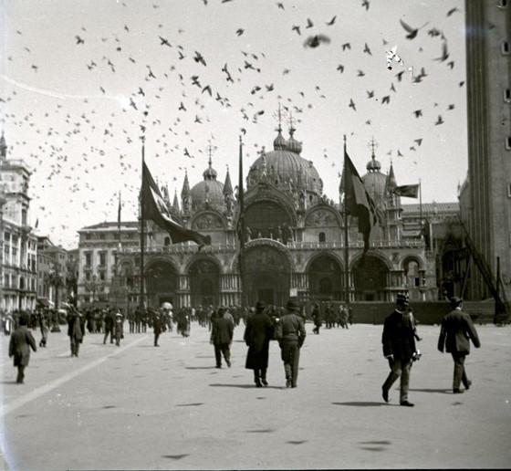 Volo di piccioni (taglio)