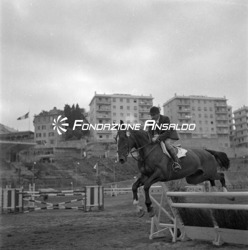 Genova - concorso ippico