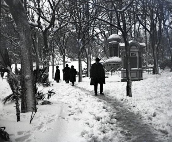 Piazza Corvetto sotto gli alberi (taglio)