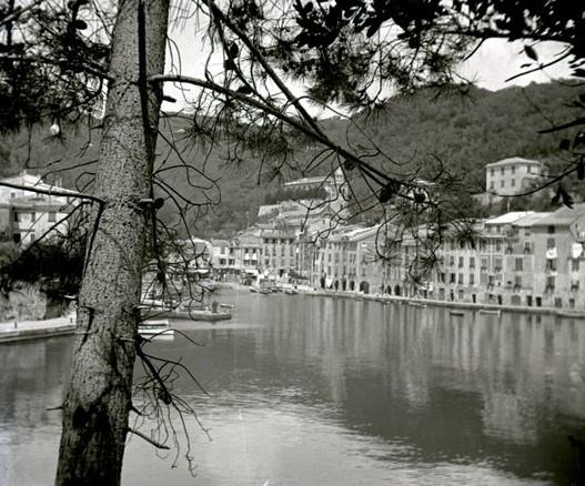 Portofino - dal Castello Brown (taglio)
