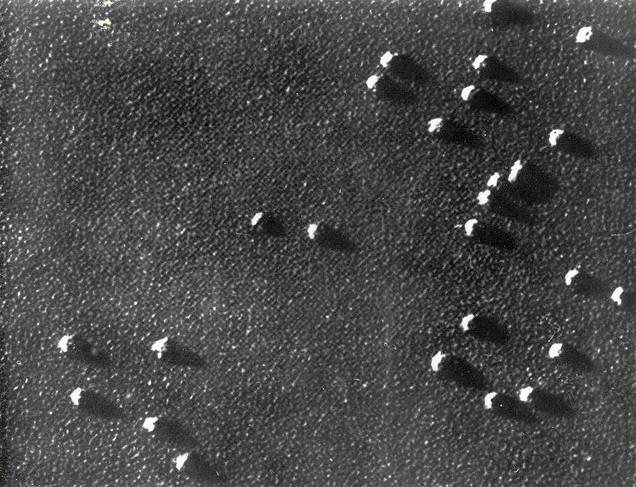 Ribosomi isolati del bacillo del colera con ingrandimento di 230.000 diametri,  maggio - giugno 1962, anno X, n. 3, p. 64