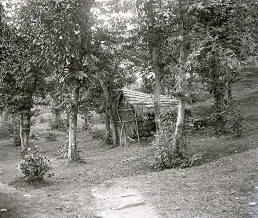 Cascina di Campopiano (taglio)