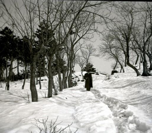 Una gita ai piani di Creto - Un sentiero nel bosco (taglio)