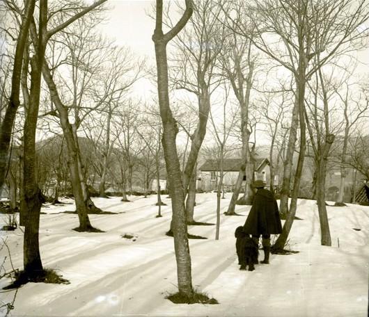 Ludovico Maria Chierici e il cane Lion nella neve (taglio)