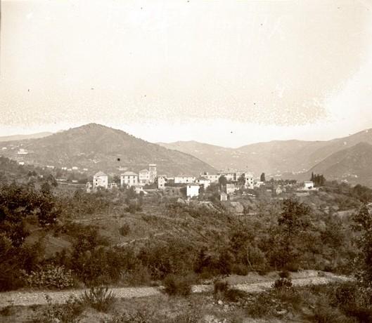Serino (taglio)