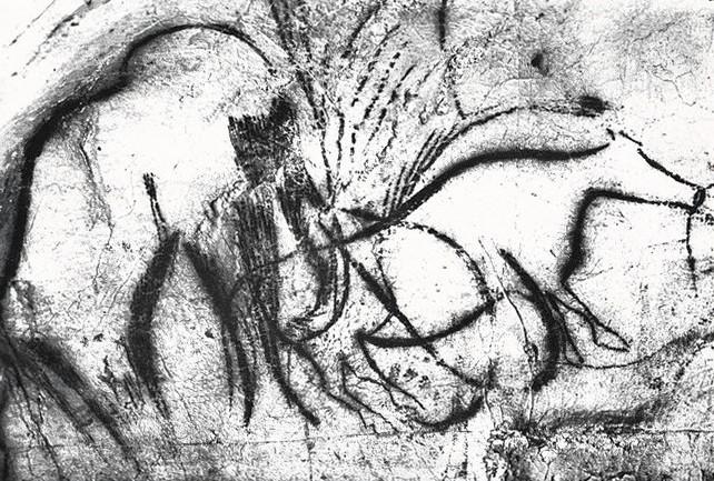 Pittura in nero di un mammut e di un bovide età paleolitica nella grotta di Cabreret (Lot), settembre - ottobre 1962, anno X, n. 5, p. 25