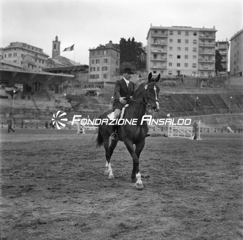 Genova - concorso ippico