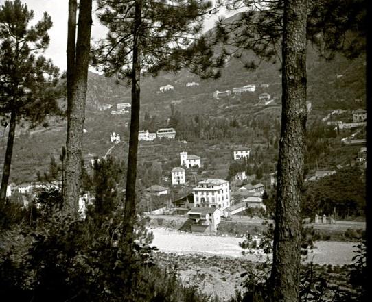 Pineta di Serino. Ligurna (taglio)