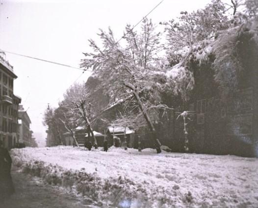 Via S. Giacomo e Filippo (taglio)