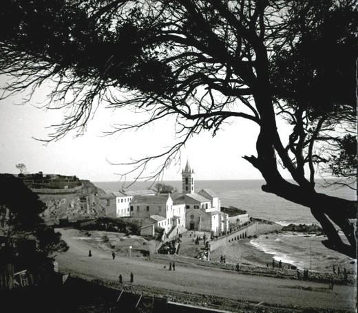 Chiesa di San Giuliano vista tra gli alberi (taglio)