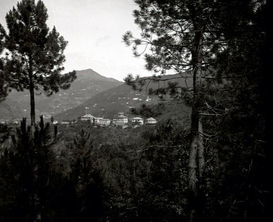 Serino. Vista dalla pineta (taglio)