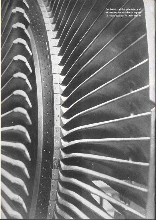 Quarta di copertina - particolare della palettatura di un rotore per turbina a vapore in costruzione al Meccanico