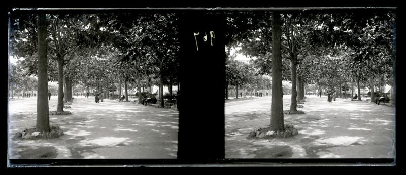 Corso Torino. I viali (originale)
