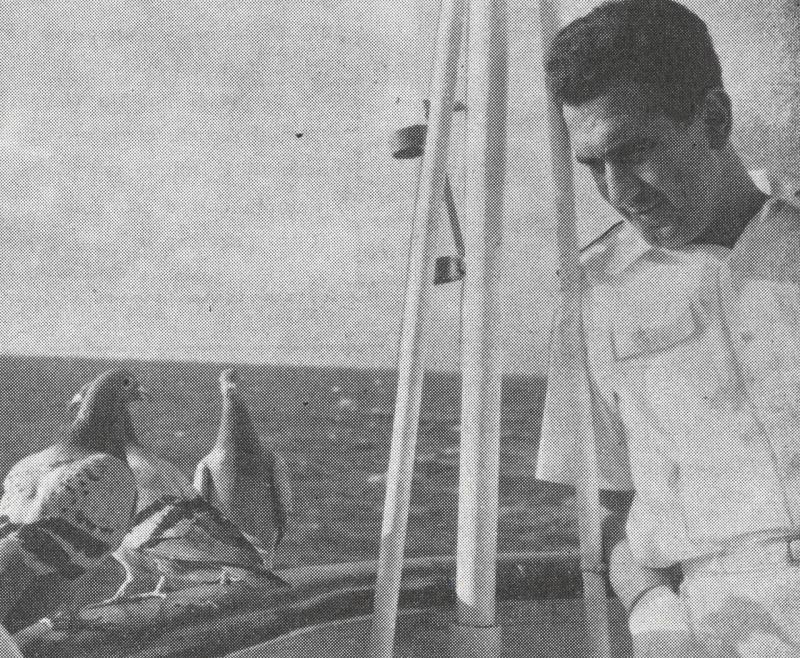 Colloquio a base di sguardi, a bordo della "Andrea C" in navigazione