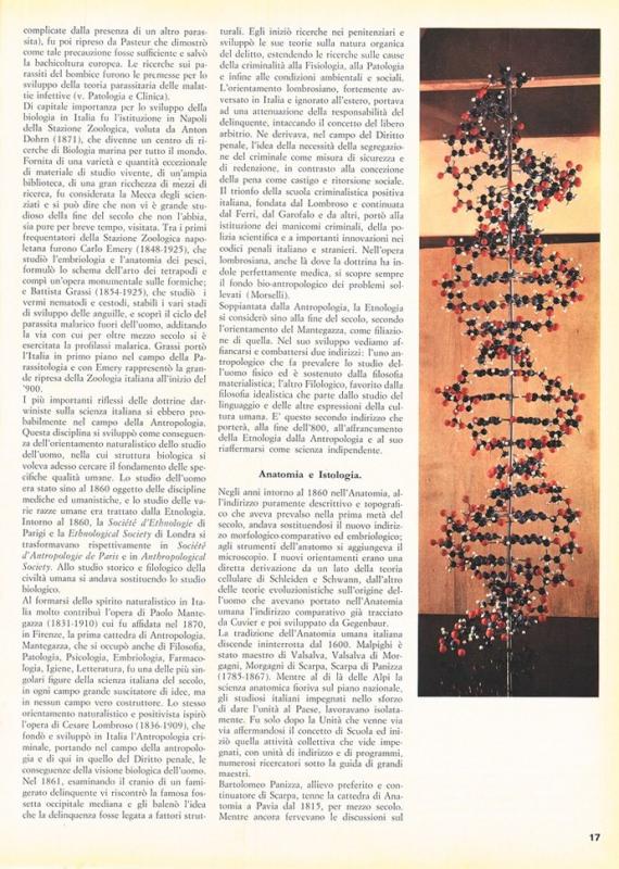 L'Ottocento scientifico - di G. Sermonti e G. Gualandi - ottobre 1961, anno IX, n. straordinario, p. 17