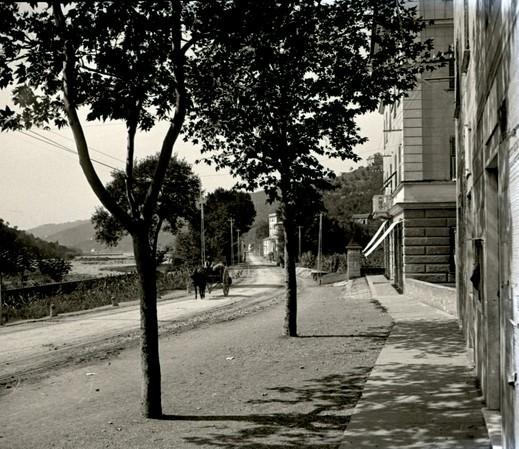 Strada in val Bisagno (taglio)