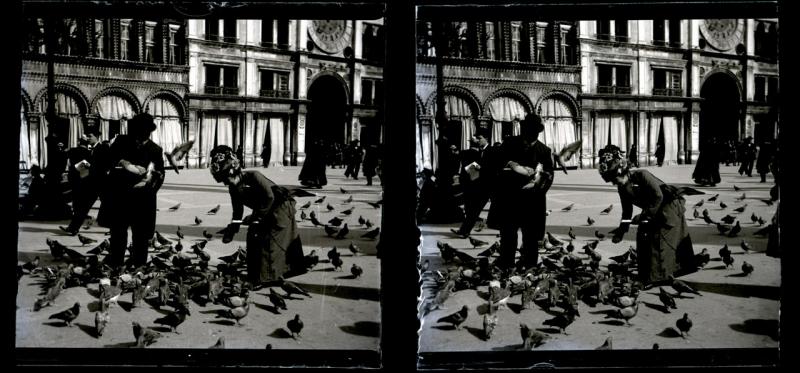 I piccioni (originale)