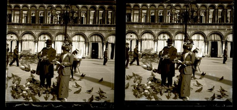 I piccioni (originale)