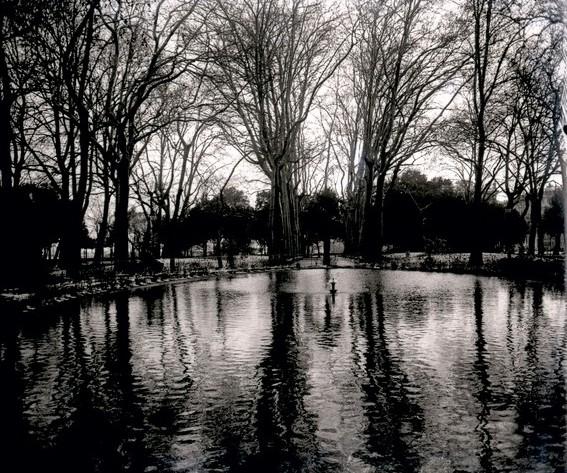 Acquasola in inverno. Vasca e viale laterale (taglio)