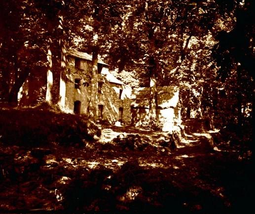 Bosco di Monterosato. Case (taglio)