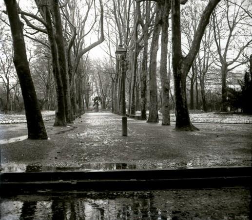 Acquasola in inverno con pioggia (taglio)