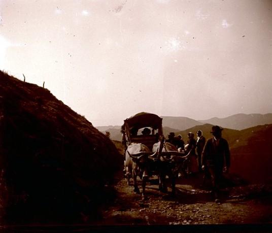 Gita a N. S. della Guardia. Carro con buoi (taglio)