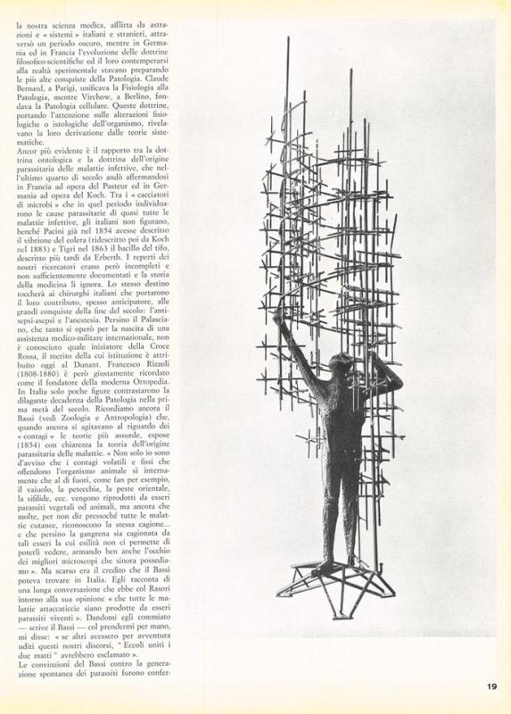 L'Ottocento scientifico - di G. Sermonti e G. Gualandi - ottobre 1961, anno IX, n. straordinario, p. 19