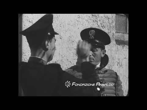 Addestramento di cani poliziotto