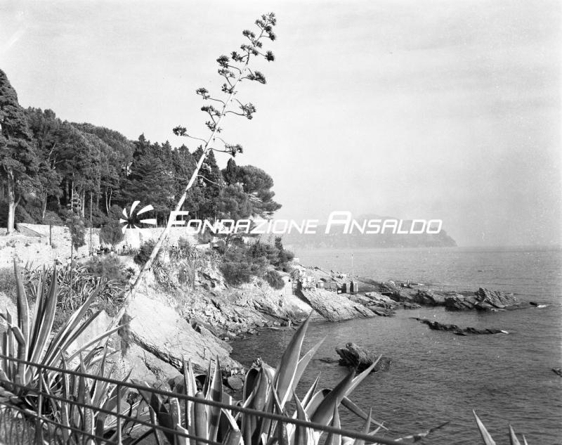 Genova - Nervi - passeggiata Anita Garibaldi