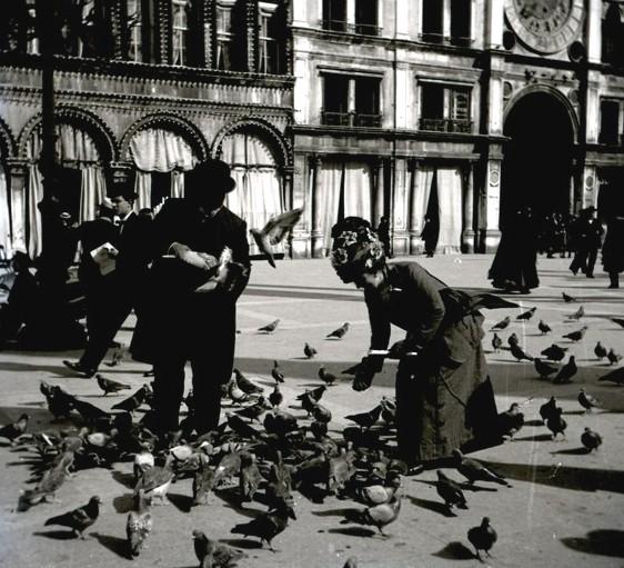 I piccioni (taglio)
