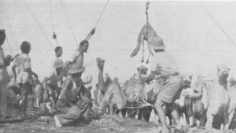 La "Giacomo C." nel 1935 venne adibita al trasporto di materiale per la guerra etiopica