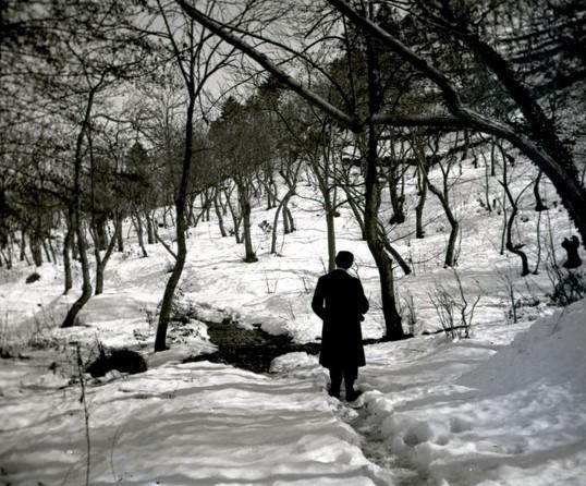 Una gita ai piani di Creto - Solitario! (taglio)