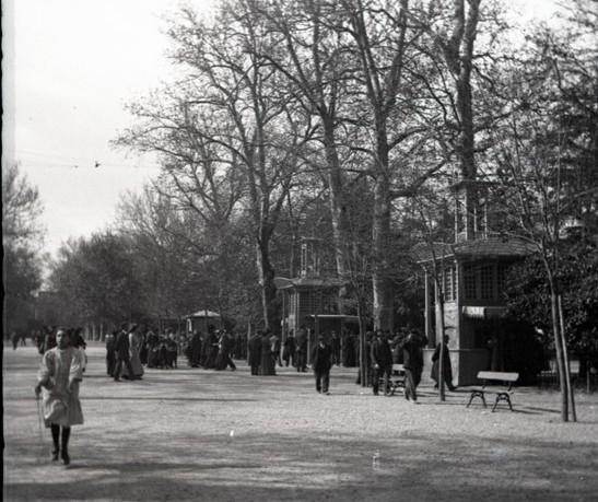 Venezia. Giardini pubblici (taglio)