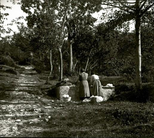 Lavandaie (taglio)