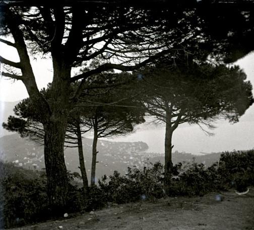 Panorama di S. Margherita dal Portofino Klum (taglio)