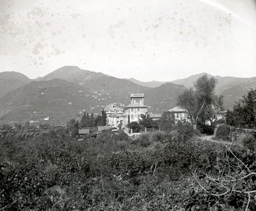 Serino (taglio)