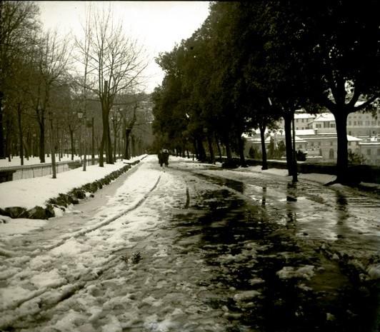 Acquasola. Nevicata (taglio)