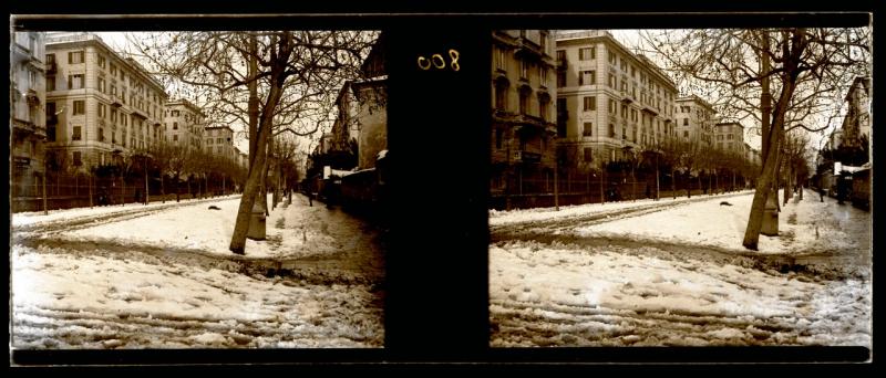 Via Casaregis. Nevicata (originale)