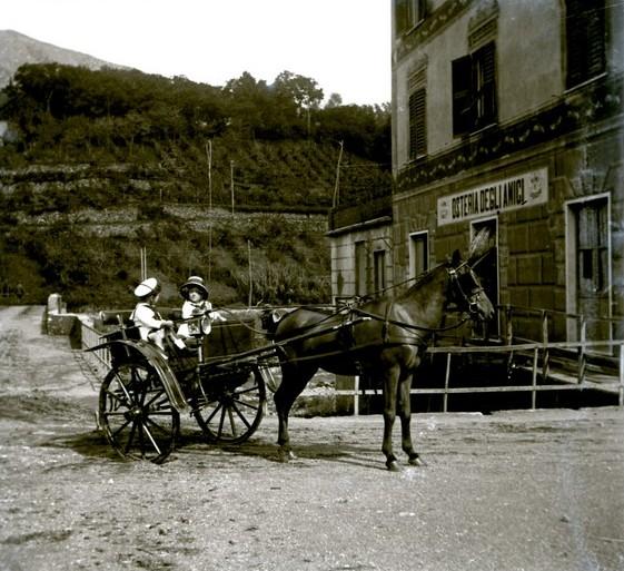 Miro e Nanny sul calessino (taglio)