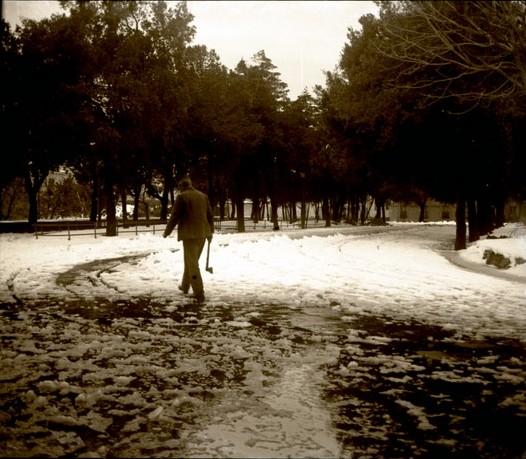 Acquasola. Nevicata (taglio)