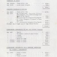 Allegato 10, p. 29