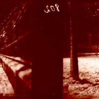 Via Casaregis (sotto gli alberi). Nevicata (originale)