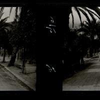 Nervi. Viale delle palme (originale)