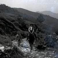 Gita a Capenardo - Ciarli sull'asino (taglio)